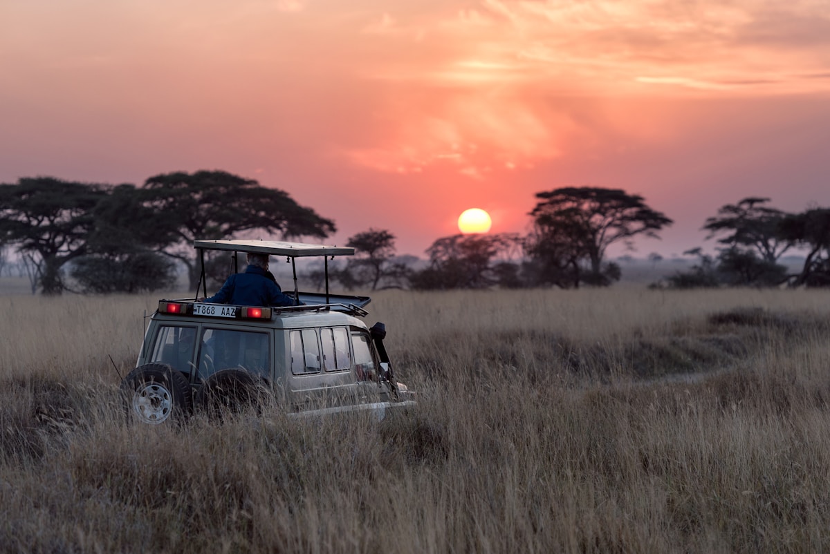 Guida alla Pianificazione del Safari Africano: Migliori Destinazioni e Consigli Essenziali per il 2025